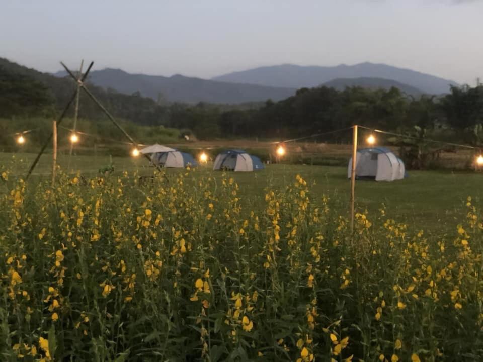 הוילה Mazipai Camping מראה חיצוני תמונה